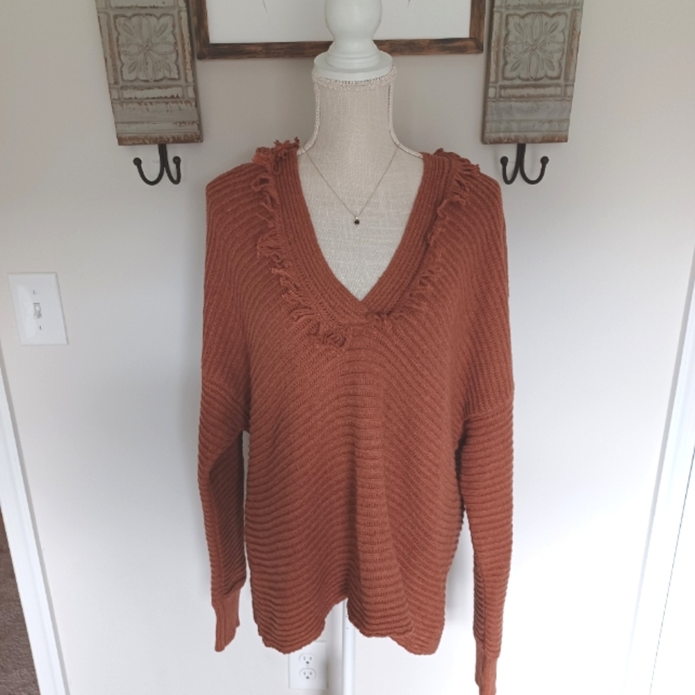BiBi Rust Solid Knit Sweater Hoodie